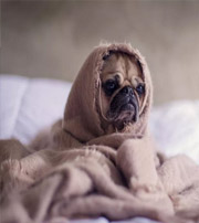 白山有这样的手机号码，留不住钱，你中枪了吗？