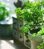 白山专属于你的开运指南，助你鸿运当头福满身！