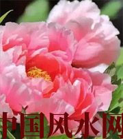 白山预示你财运上升，姻缘可成的梦境，快来看看吧！