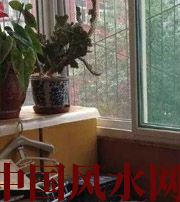 白山有这些坏习惯，只会让财运从你身边溜走~