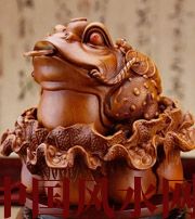 白山解读金蟾最合适的位置，这样摆放更招财！