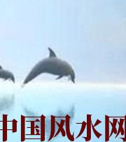 白山做梦梦到这些，是要富裕的征兆！