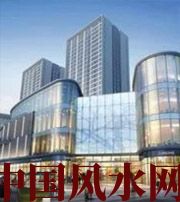 白山招财进宝小妙招，你知道哪些？